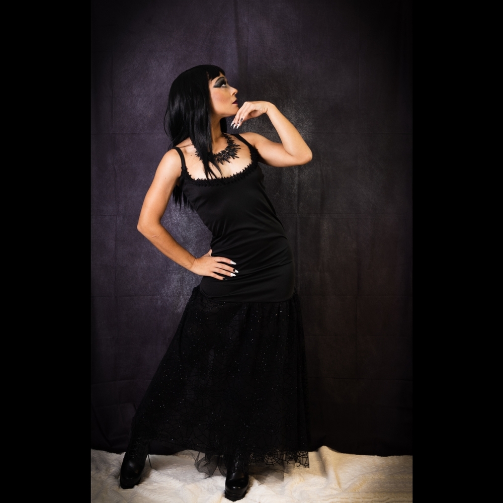 Gothic But Fashion- Black Morticia Fit and Flare Dress with Tulle